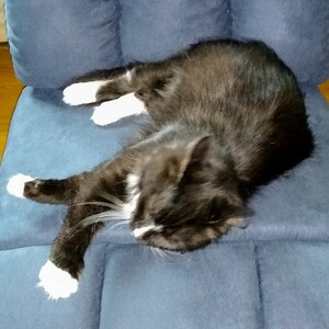 Fundraising Page: barbara mckee